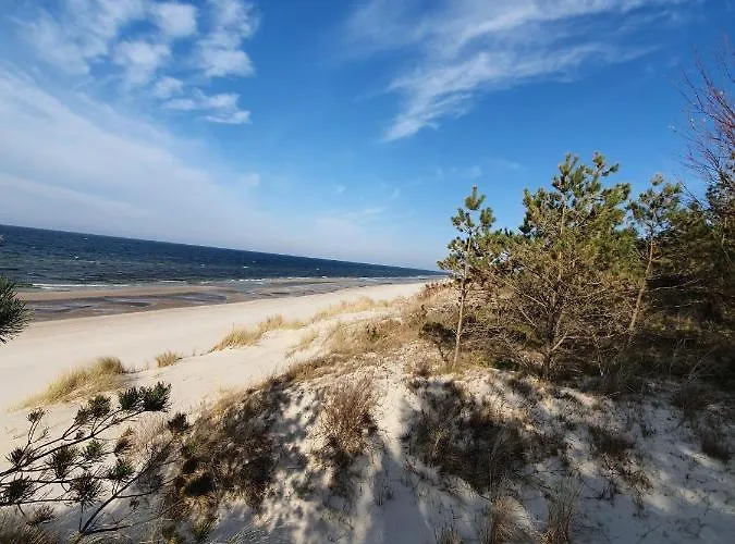 Medallion 코워브제크